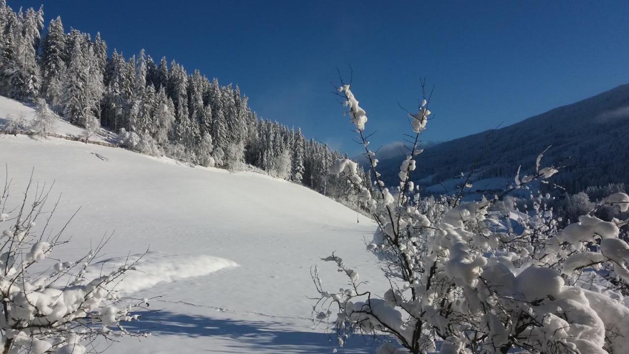 Bauernhof Burglehen Otel Wagrain Dış mekan fotoğraf